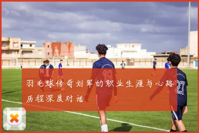 羽毛球传奇刘军的职业生涯与心路历程深度对话