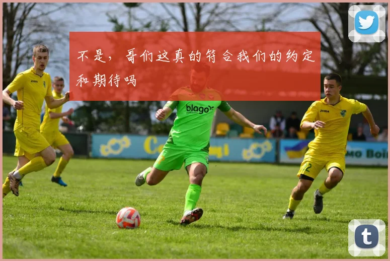 不是，哥们这真的符合我们的约定和期待吗