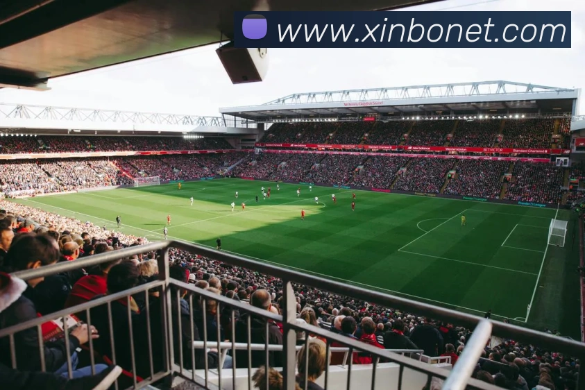 登录器